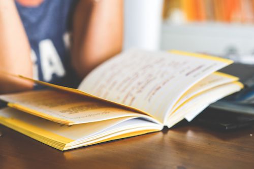 Girl with book